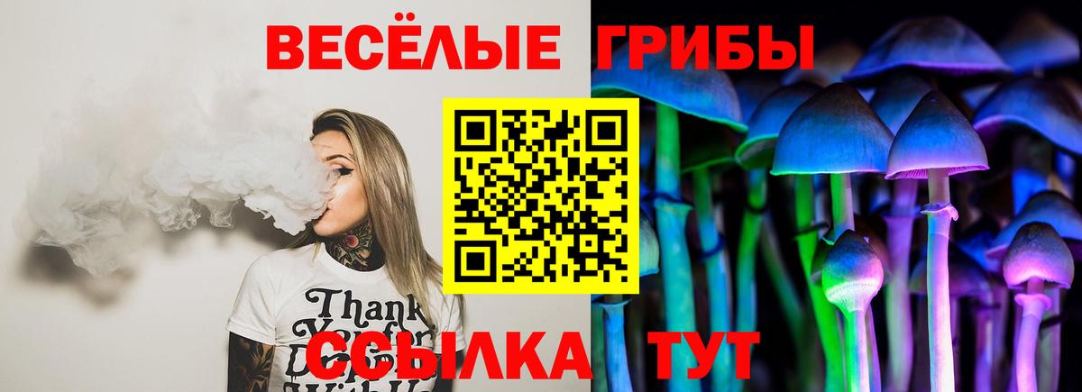 Химки  Псилоцибиновые грибы MAGIC MUSHROOMS  Вход с VPN  Галлюциногенные грибы мухоморы 